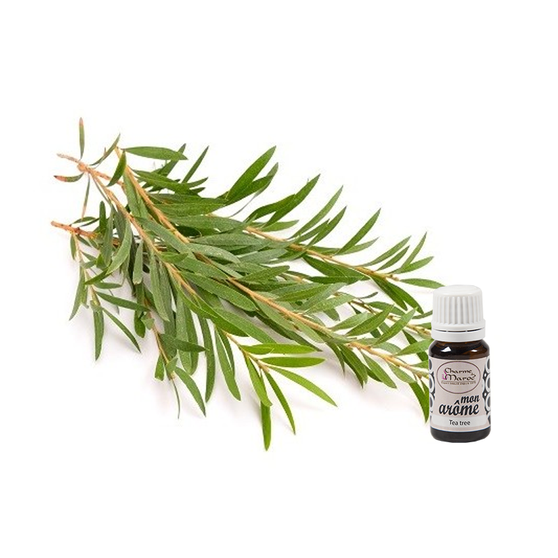 tea-tree